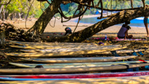 Surfboards in the shade near the jungle.
