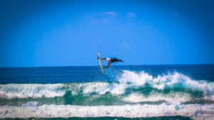 Wave Carving